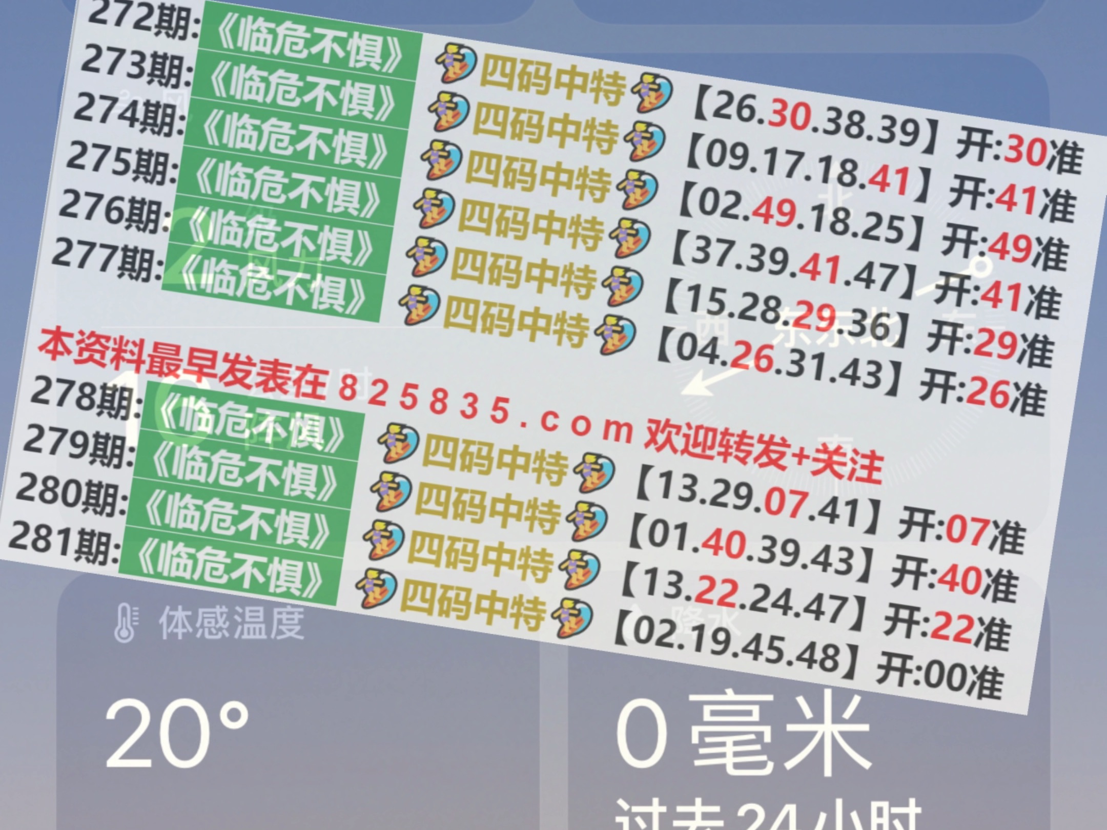 2024年新澳门天天开彩,高速响应执行计划_4K版29.951