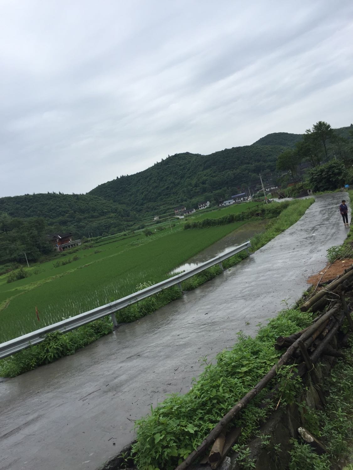 下坪乡天气预报更新通知