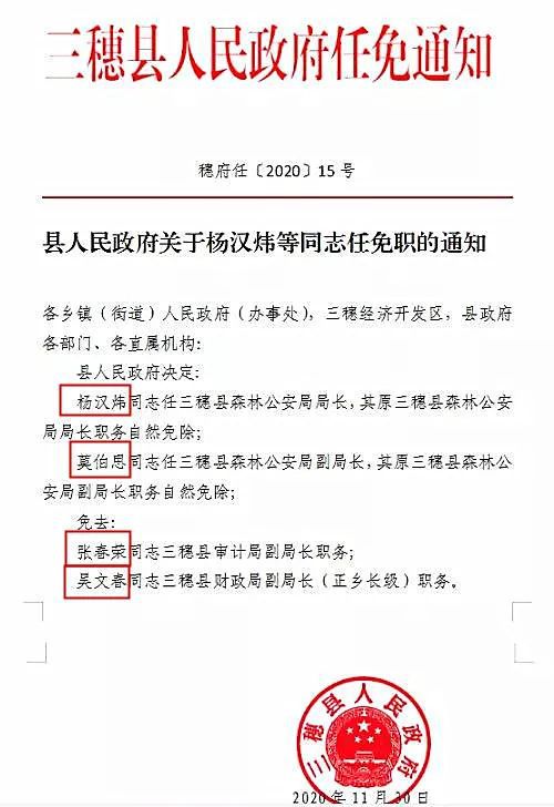 天峨县人民政府办公室人事任命揭晓，县域发展新篇章开启