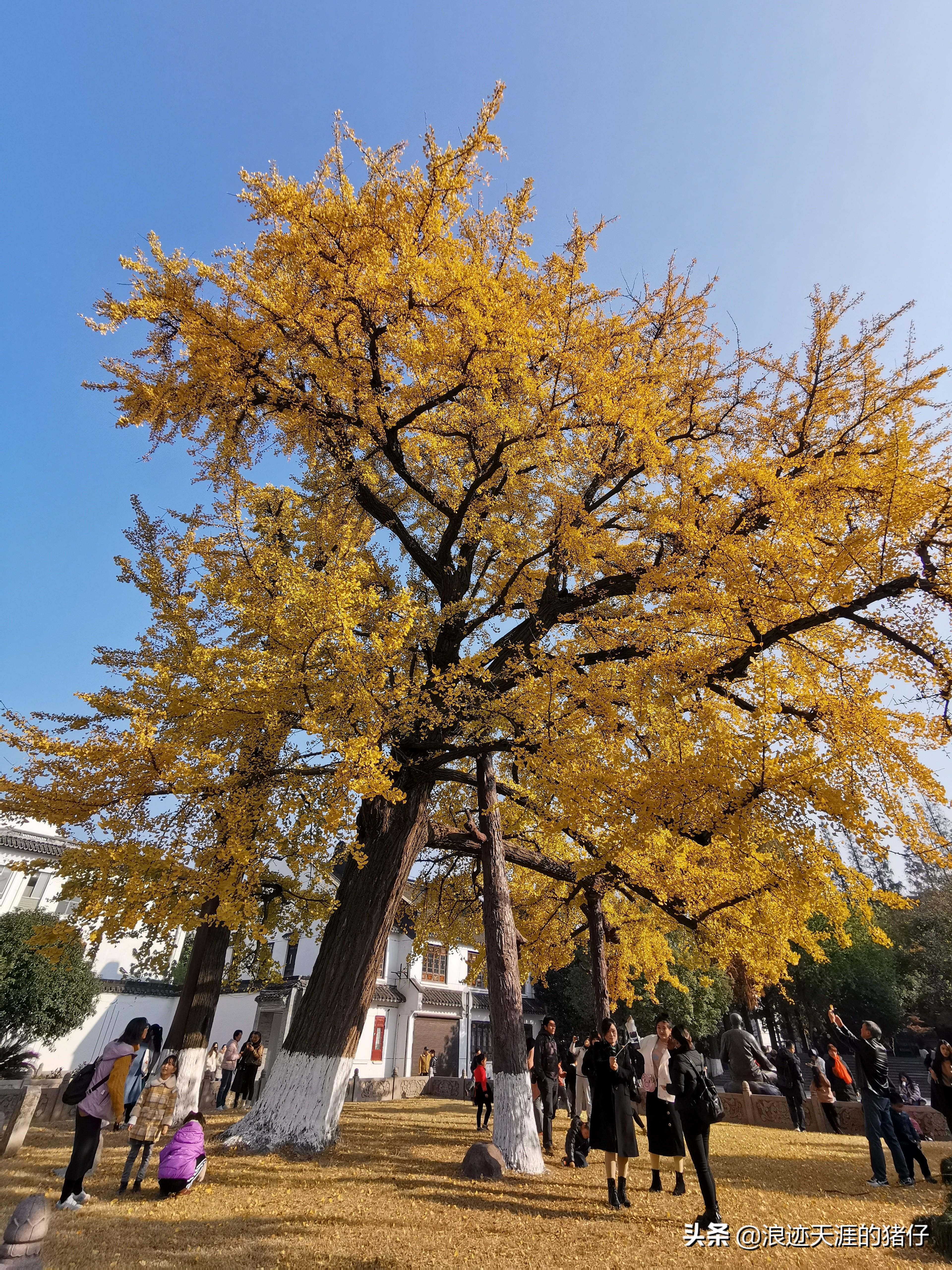 曾梁村民委员会最新动态报道