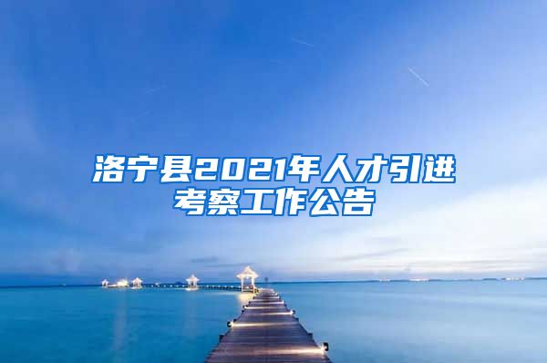 洛宁县人民政府办公室最新招聘公告概览