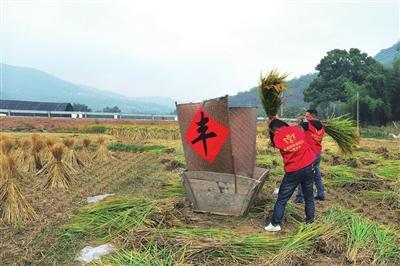 棠村镇新项目，先锋力量引领地区发展