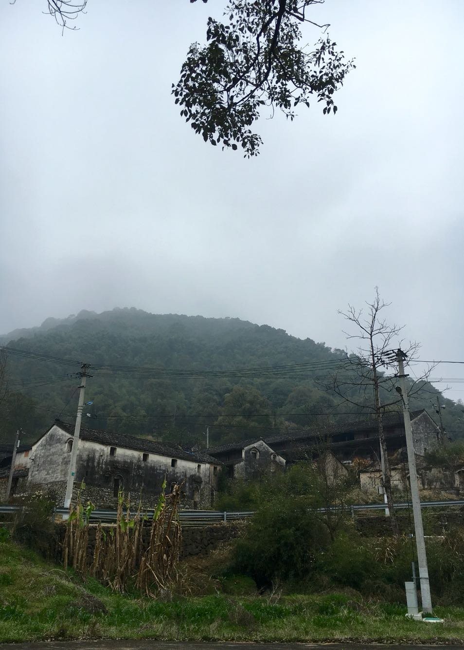 盘峰乡天气预报更新通知