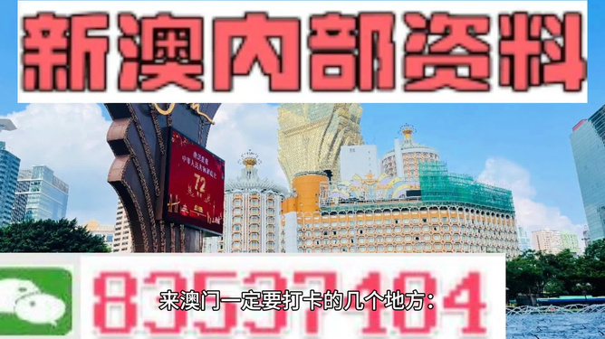 2024新澳正版挂牌之全篇,动态说明解析_mShop61.356