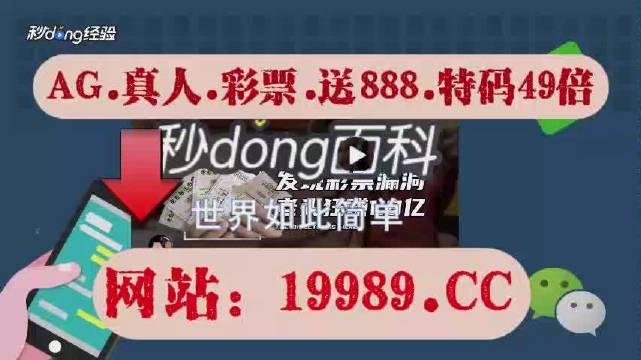 2024澳门天天开好彩大全正版,实地解答解释定义_粉丝款42.96