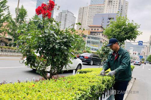 酒泉市林业局最新招聘信息与动态概览