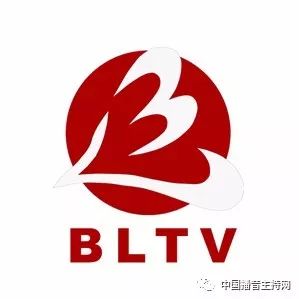 宁波市广播电视局最新招聘启事概览