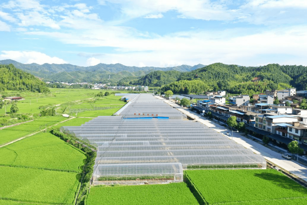 龙河镇青色草原种畜场领导团队引领新征程发展之路