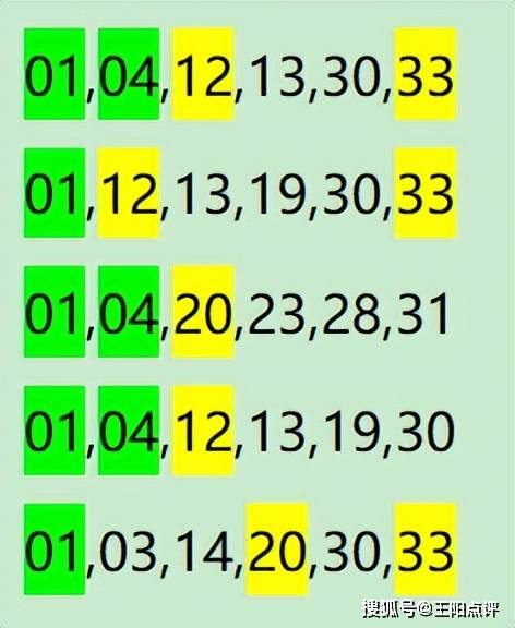 一肖一码100-准资料,数据分析说明_精英款58.355