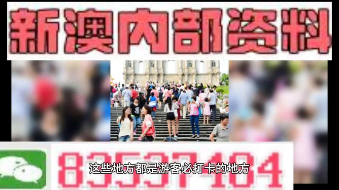 新澳精准资料免费提供最新版,实地评估说明_MP48.833