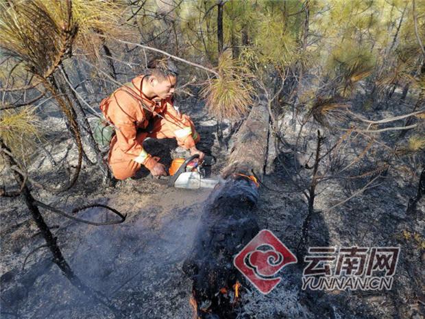 宁蒗彝族自治县文化局新项目推动文化繁荣与地方发展