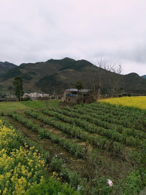 石溪乡天气预报更新通知