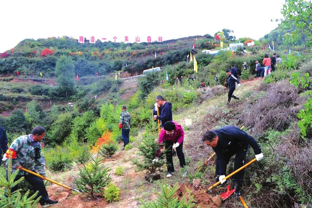 移山林场最新发展规划概览