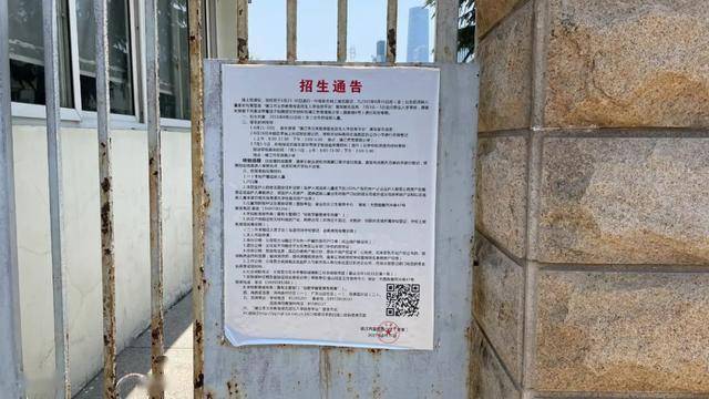 宝塔区小学最新招聘启事概览