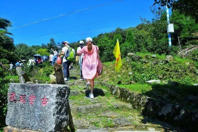 向阳乡璀璨明珠项目，引领乡村发展新篇章