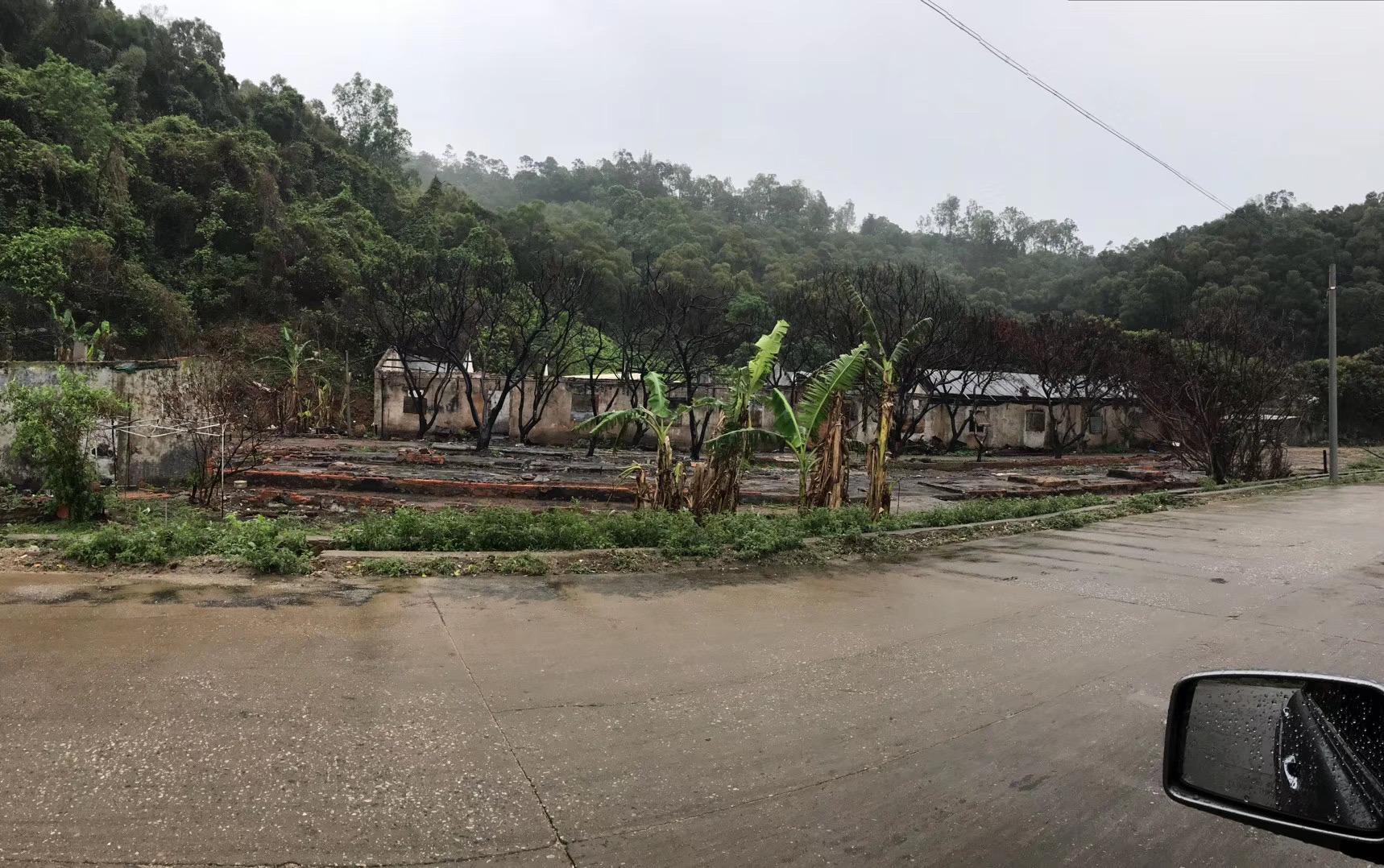 阳江林场宝山分场天气预报更新通知