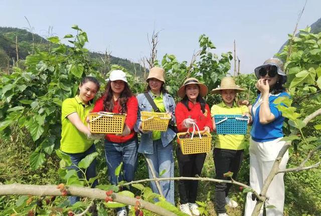 巴马瑶族自治县农业农村局新项目推动农业现代化，乡村振兴再添动力